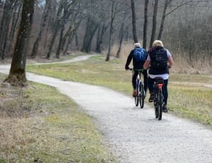 two men riding bicycle in forest thumbnail