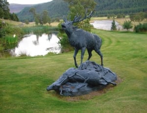 elk standing and lying on rock monument thumbnail