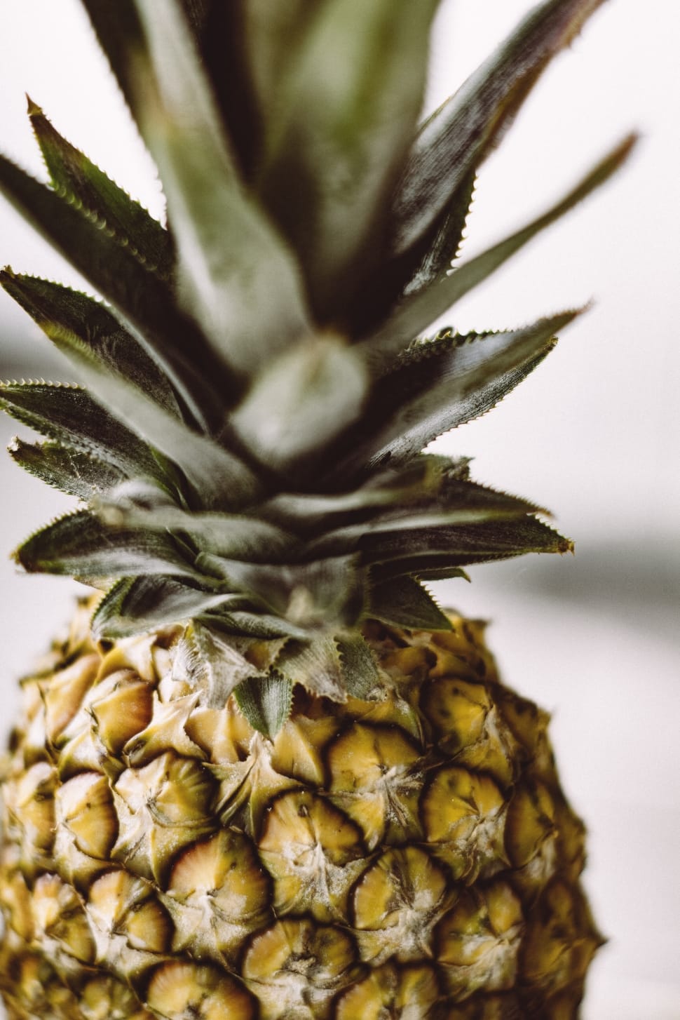 pineapple close-up photo preview