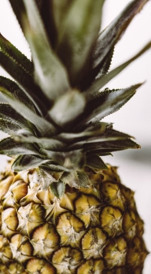 pineapple close-up photo thumbnail
