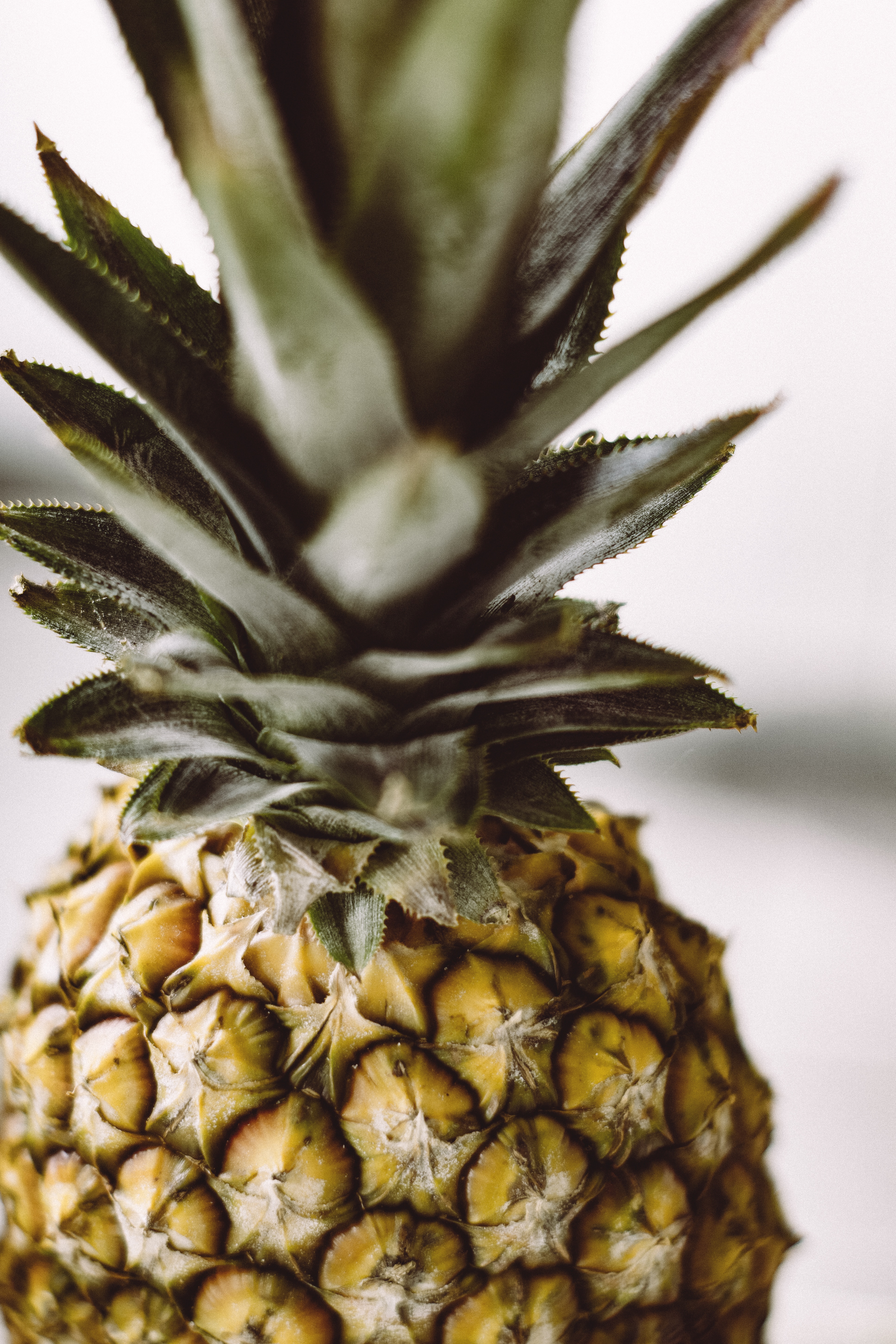 pineapple close-up photo