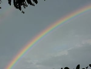rainbow thumbnail