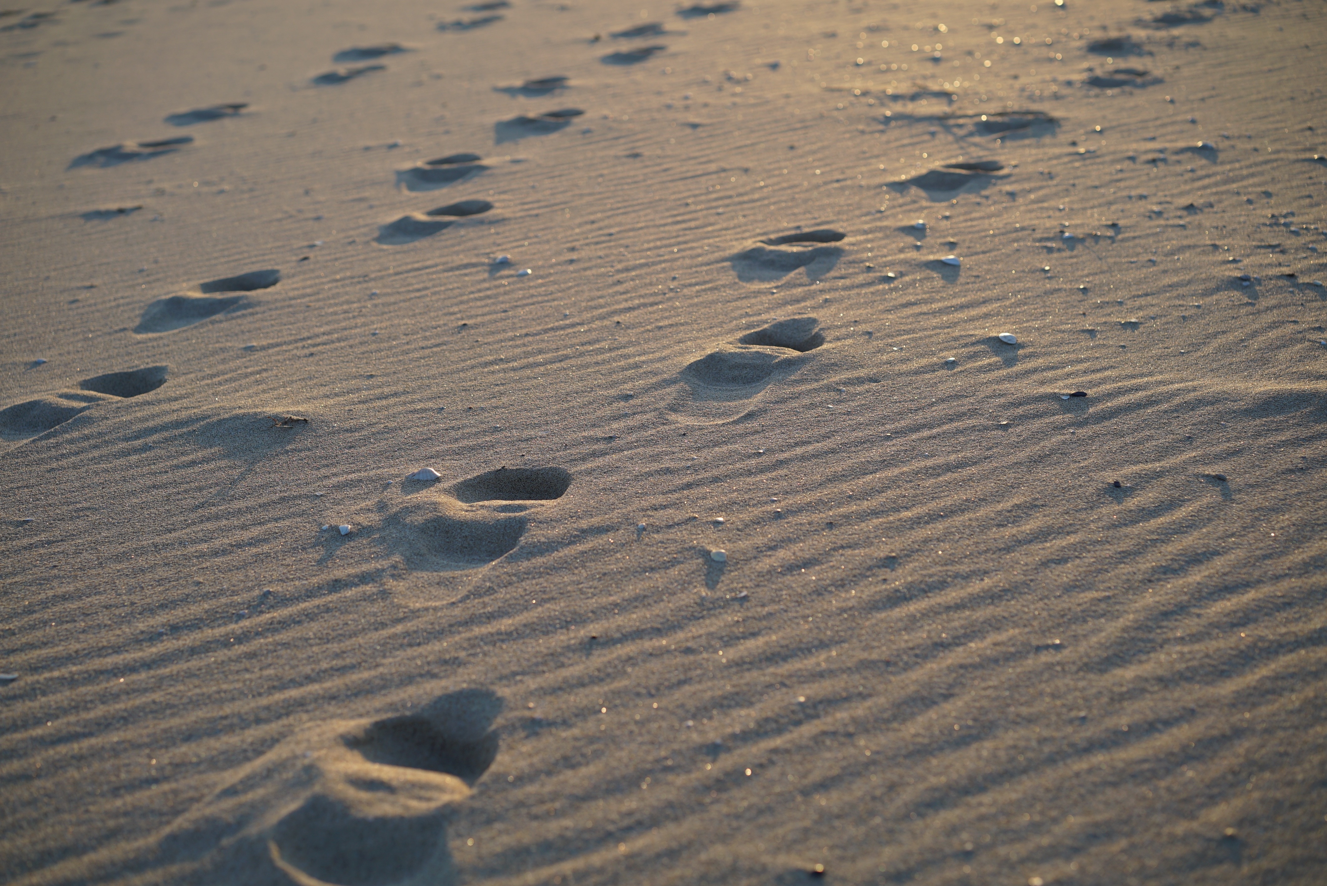 На песке остается след. Следы на песке. Следы на пляже. Следы на песке у моря. Пляж песок.