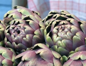 purple and green artichoke thumbnail