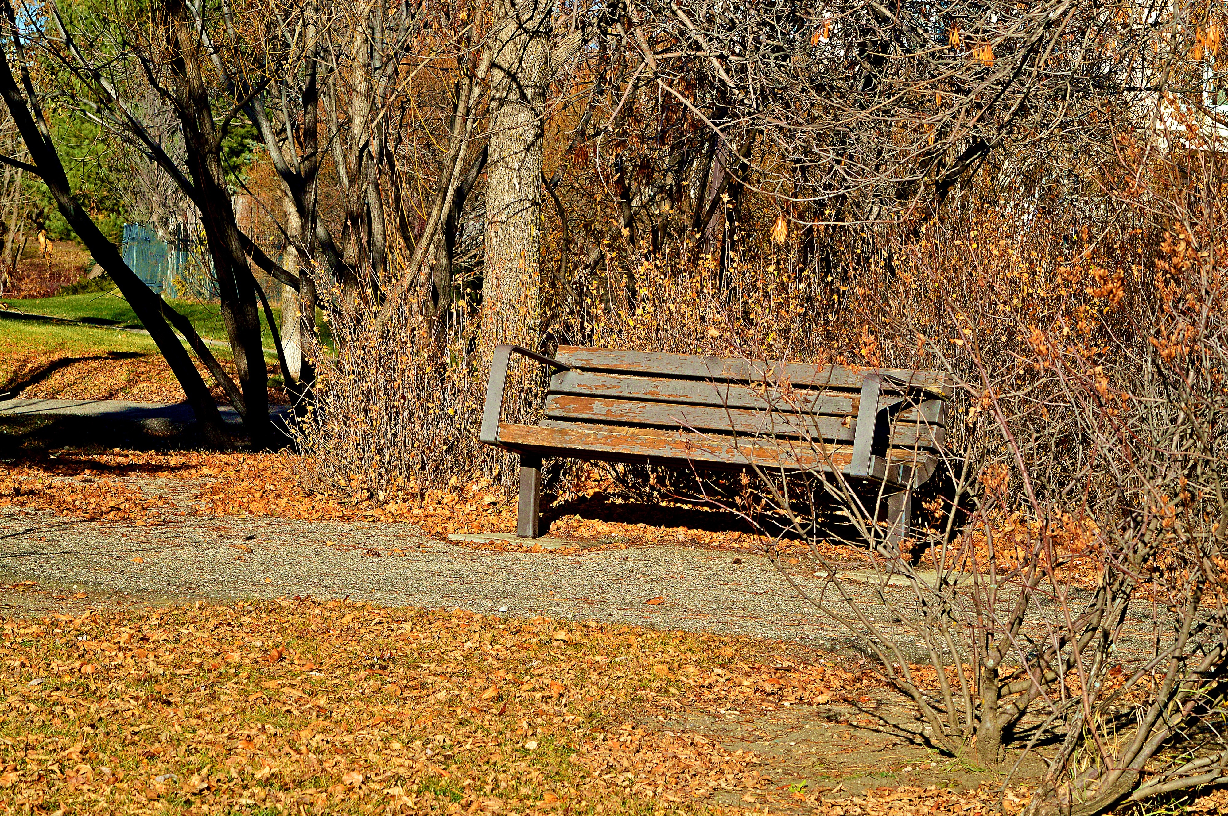 brown bench