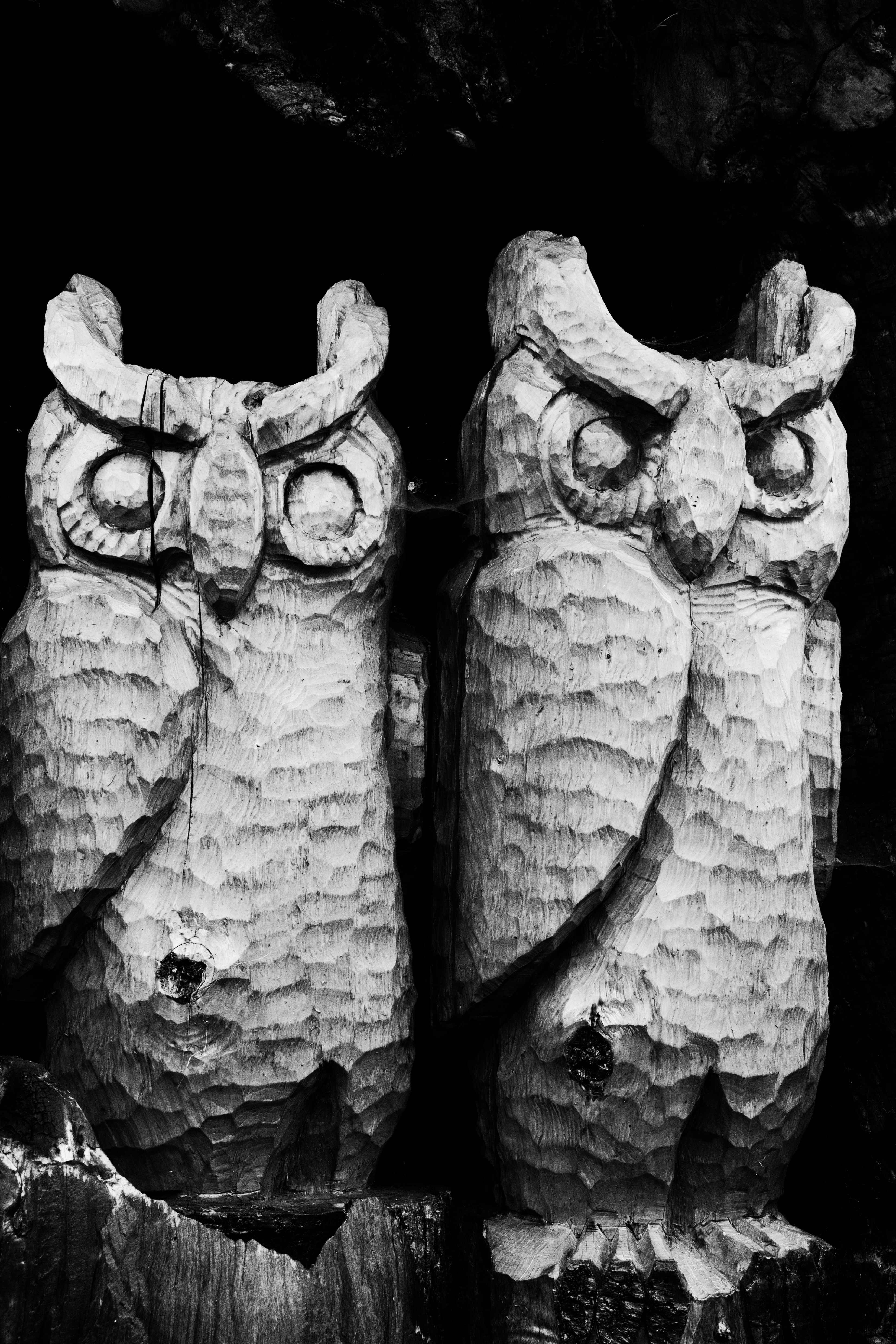 2 gray wooden owl sculptures