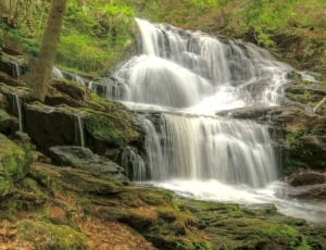 waterfalls and green leaf plant thumbnail