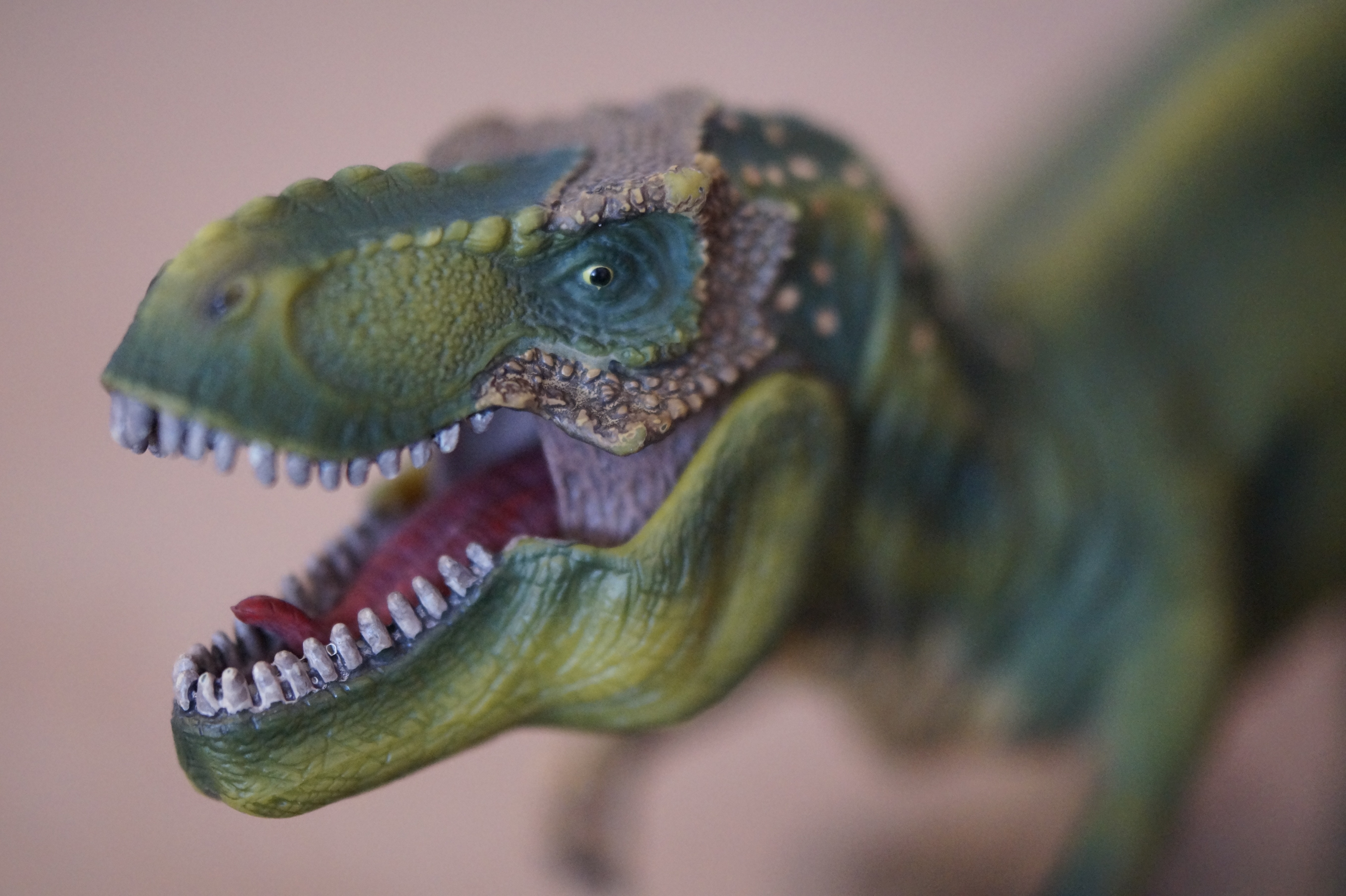 green dinosaur figurine free image | Peakpx