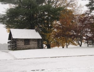 white wooden house near trees at daytime thumbnail