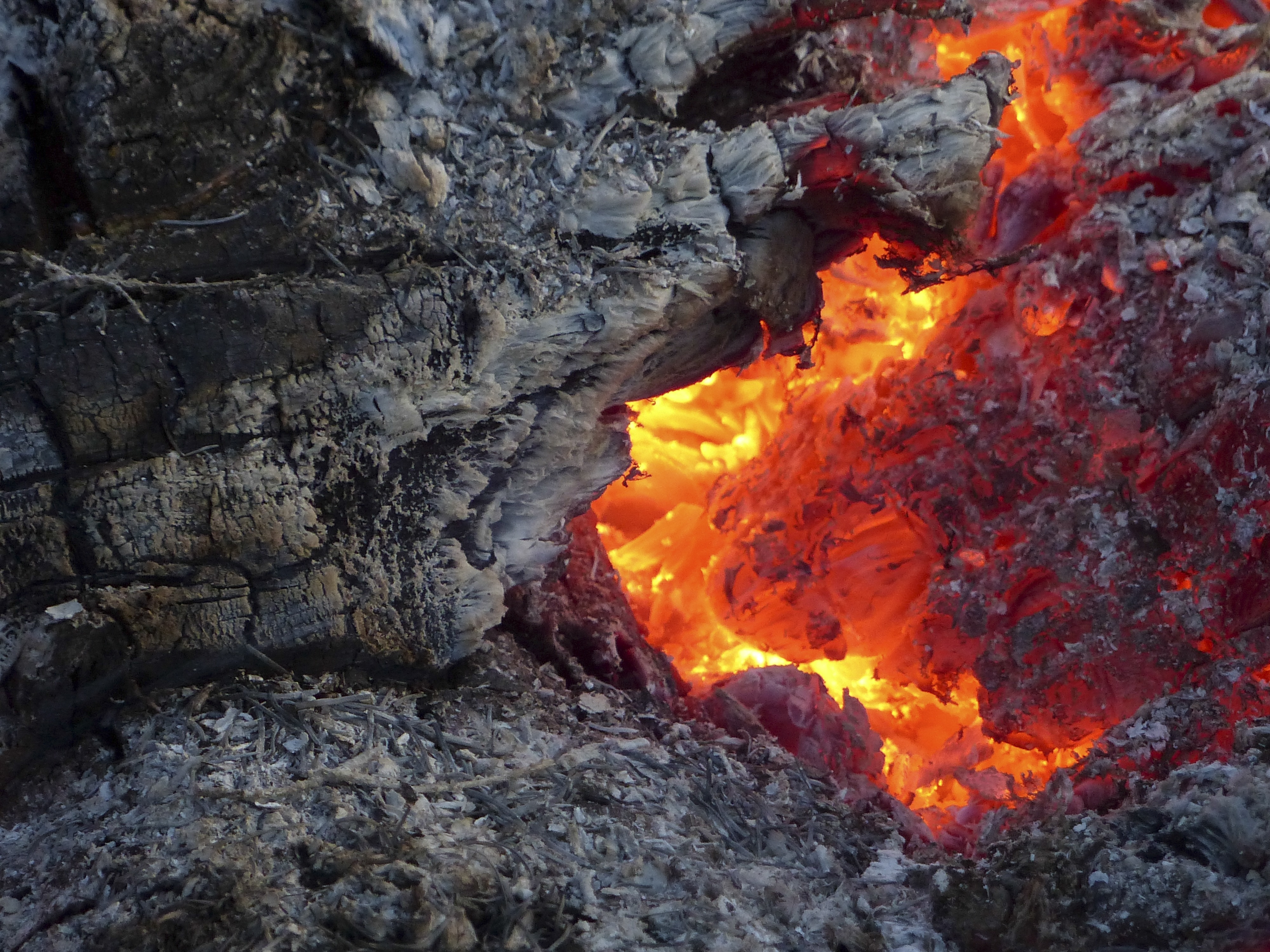 close photo of burning wood