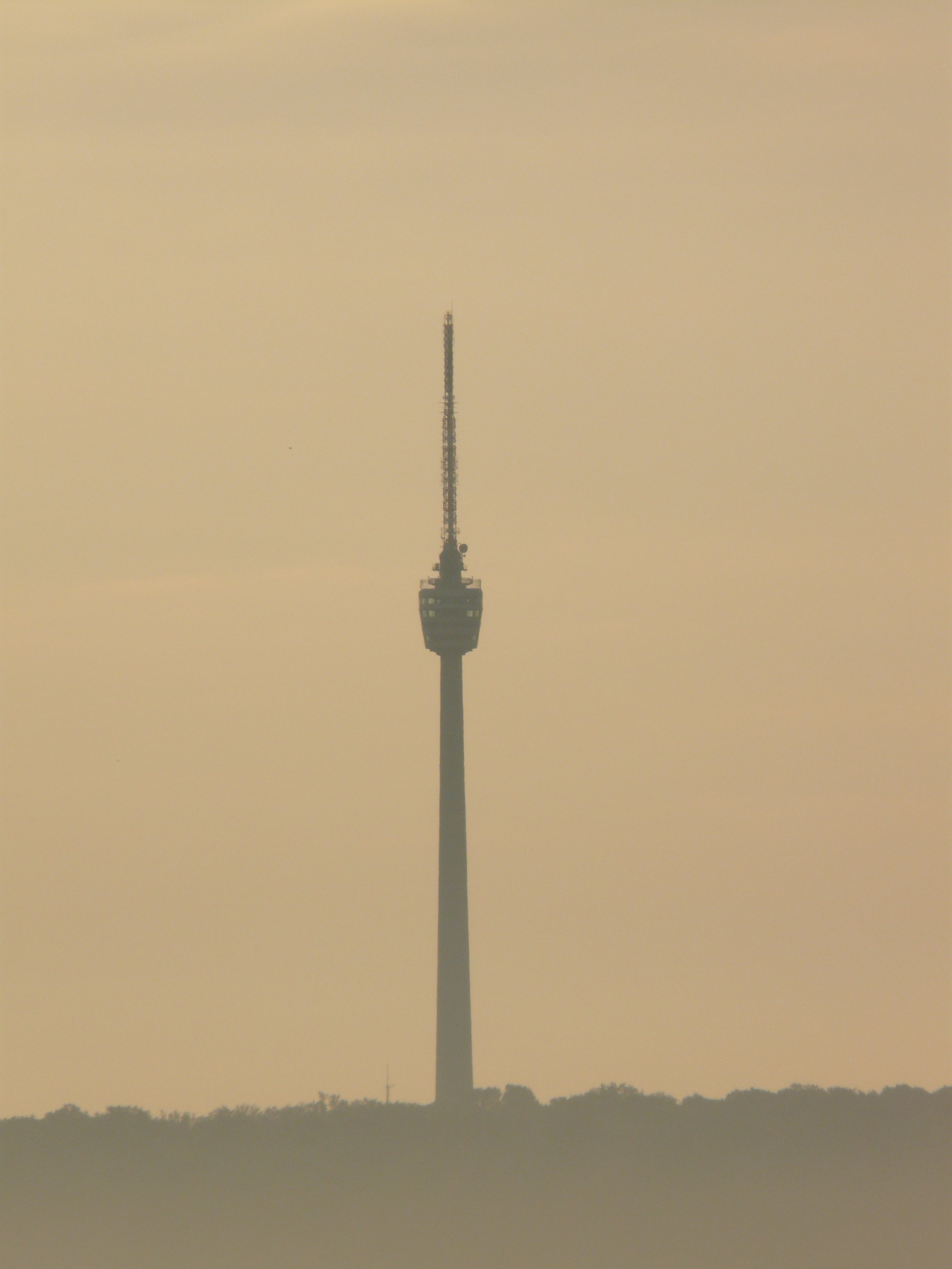 silhouette of a high rise tower
