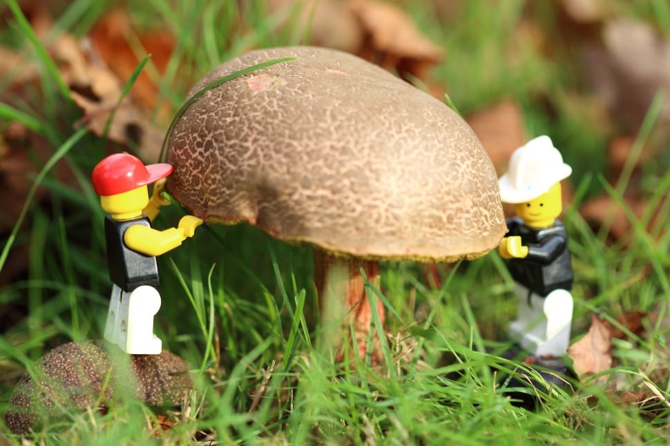 brown mushroom holding and two lego minifigures preview