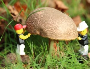 brown mushroom holding and two lego minifigures thumbnail