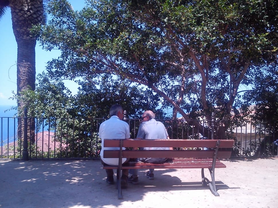 two men sitting on the bench facing the trees preview