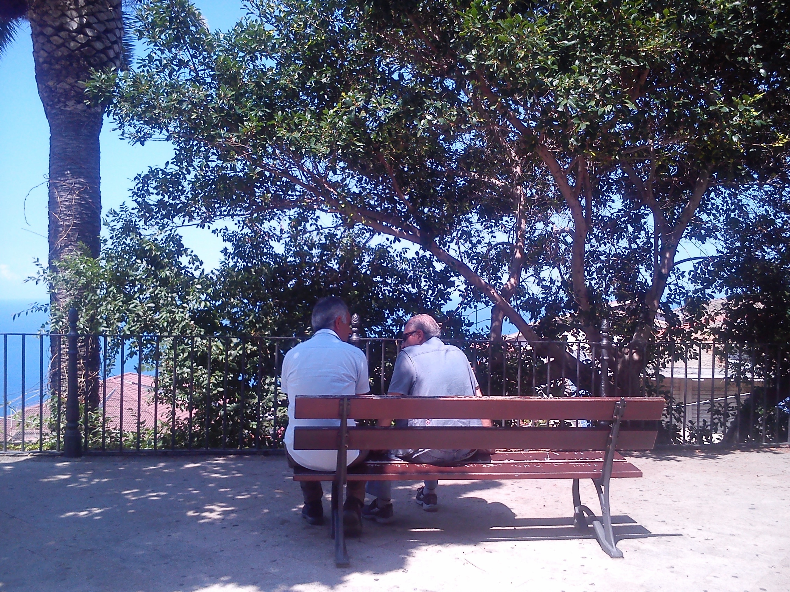 two men sitting on the bench facing the trees