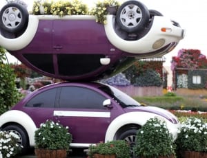 2 purple and white volkswagen new beetles thumbnail