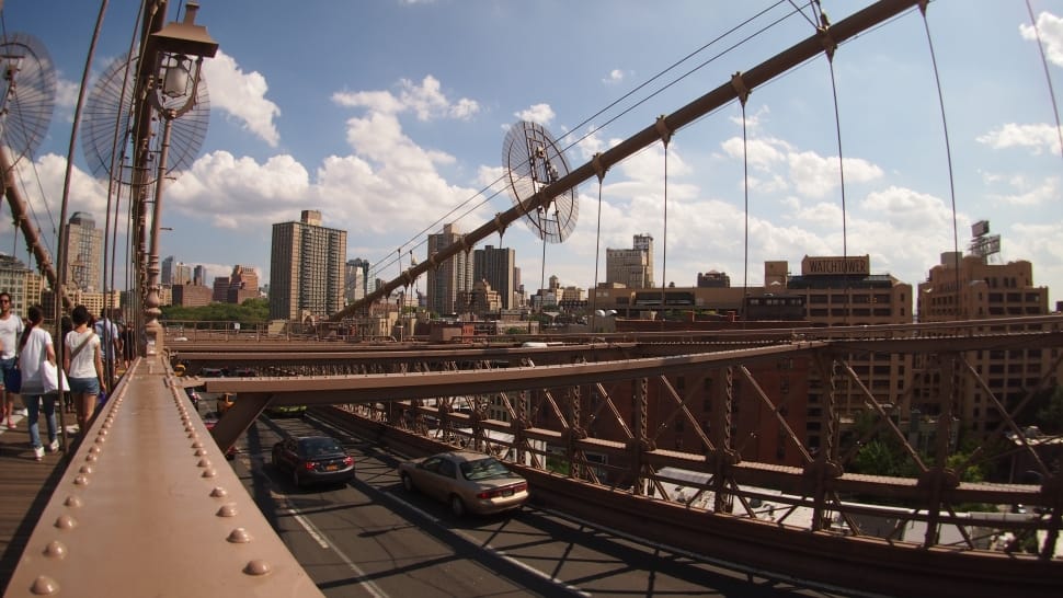 brown brooklyn bridge preview