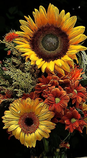 Flower Of Sunflower, Flower, Sunflower, flower, petal thumbnail