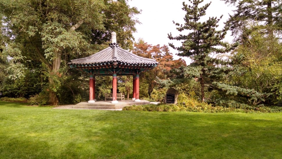 red and black gazebo preview