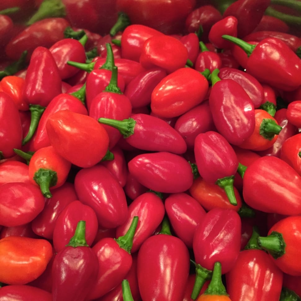 red chili lot preview