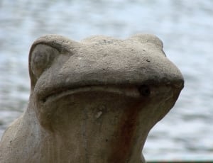 grey frog concrete statue thumbnail