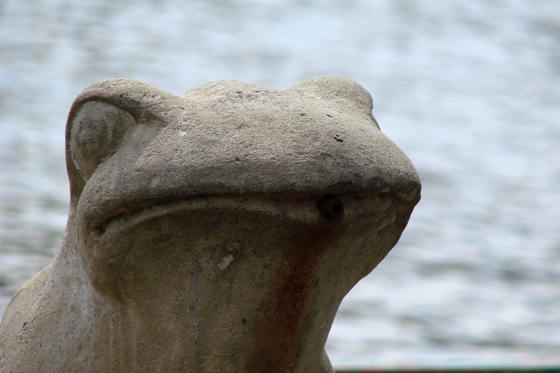 grey frog concrete statue