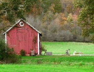 red wooden barn near tree thumbnail