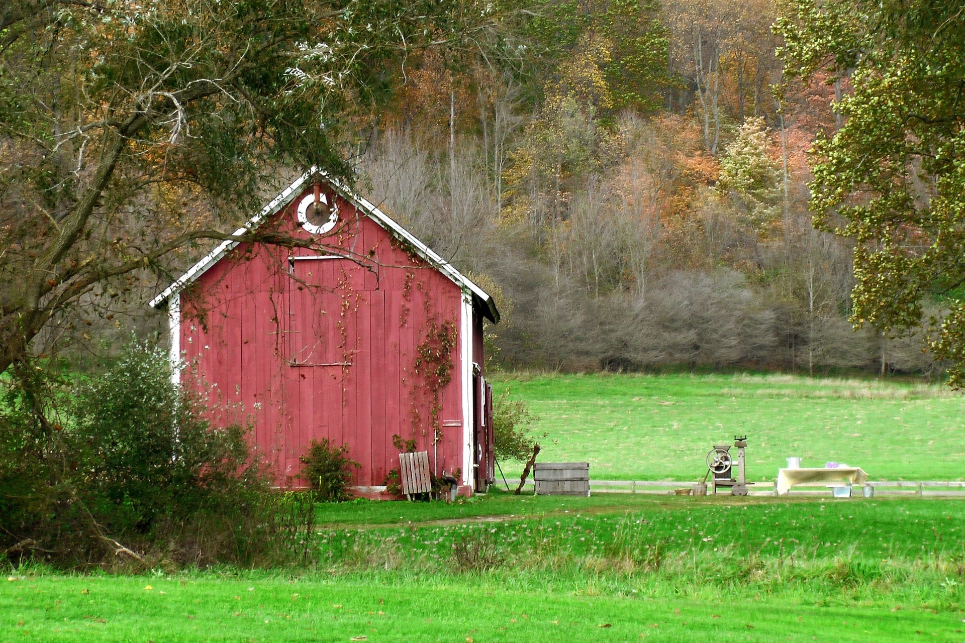 red wooden barn near tree