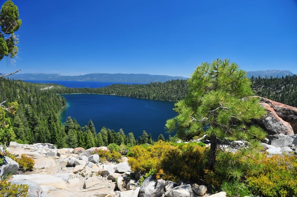 blue body of water in the middle of forest during daytime preview