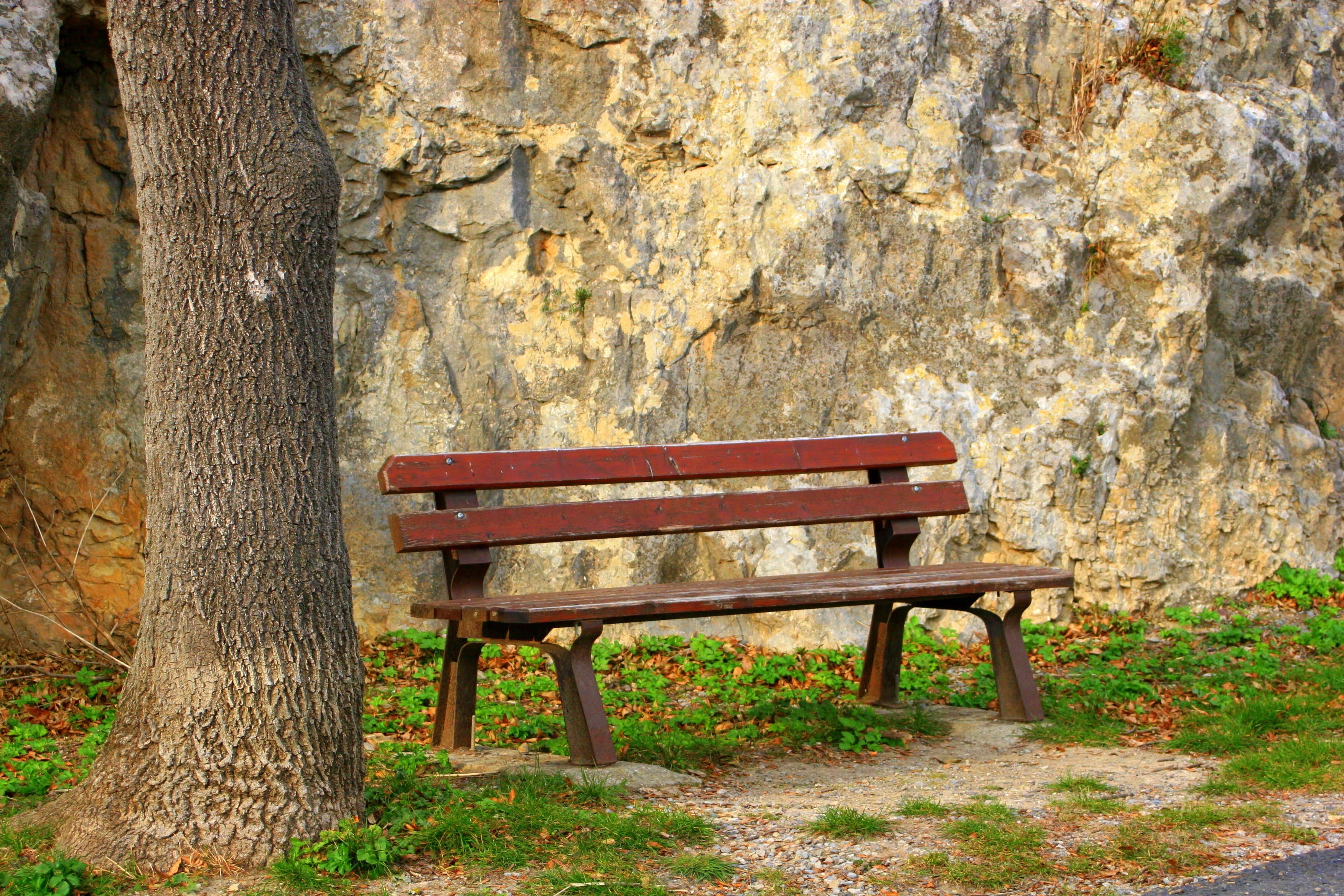 red wooden bench