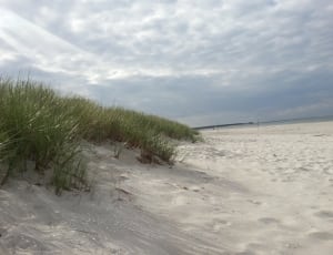 white sand and green grass thumbnail