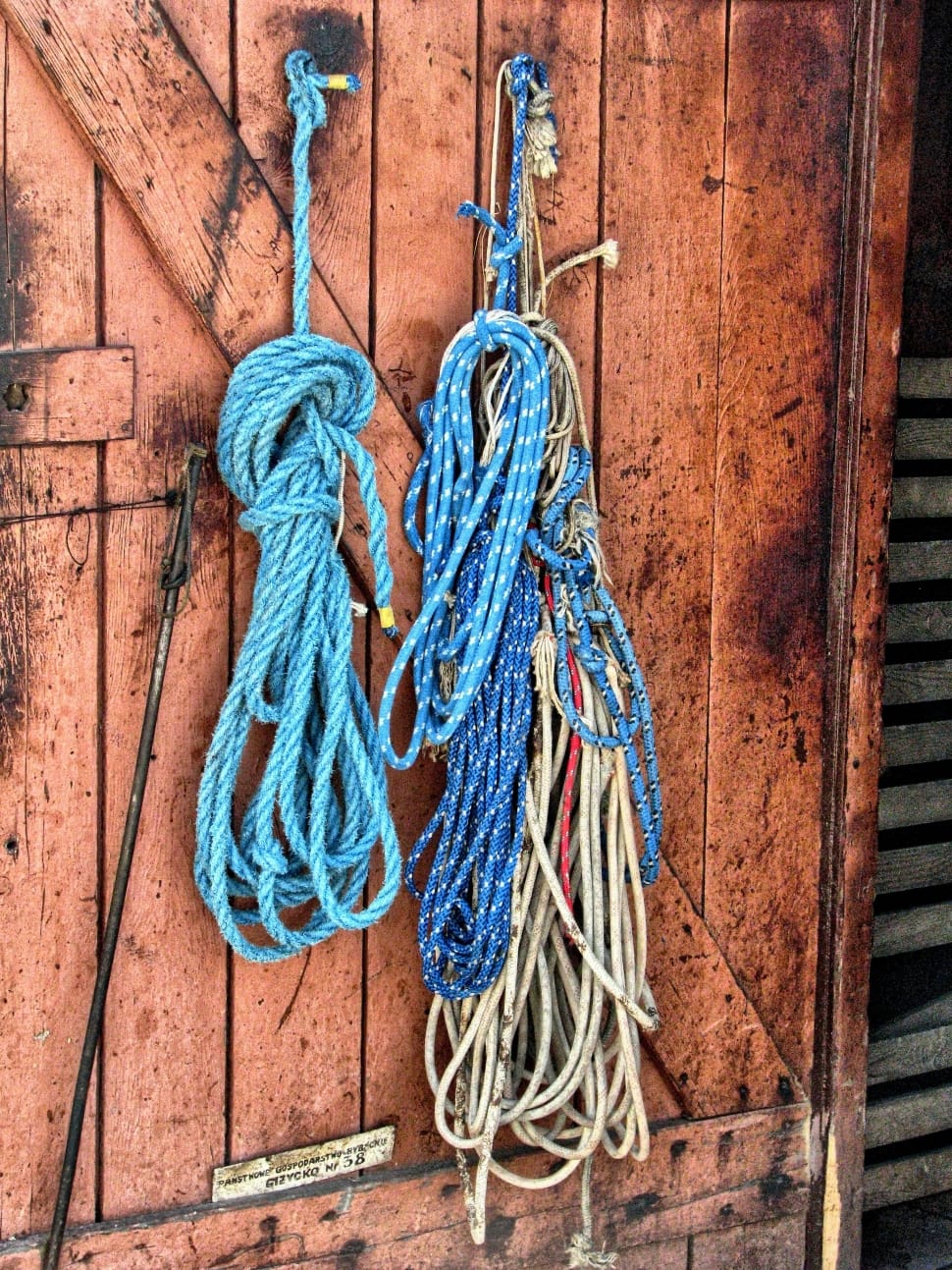 blue ropes preview
