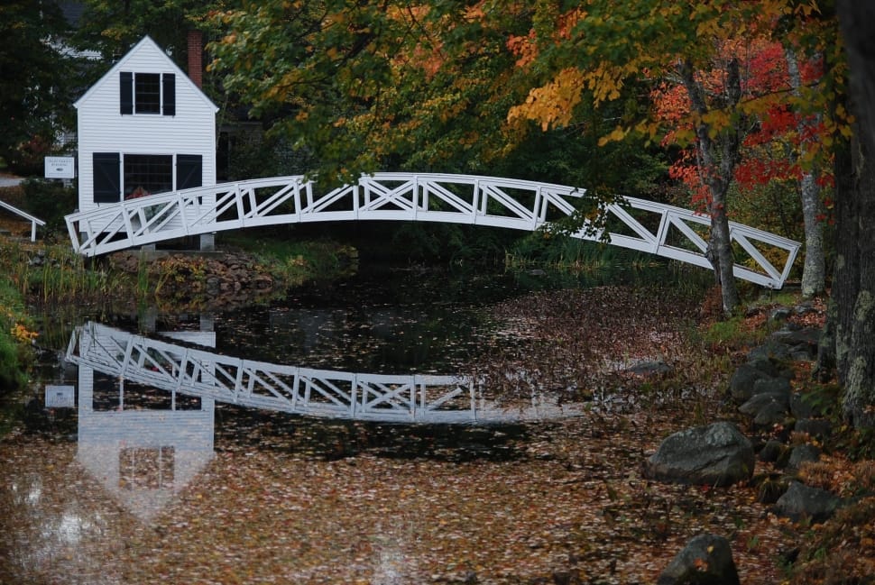 white wooden footed bridge preview