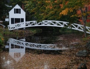white wooden footed bridge thumbnail