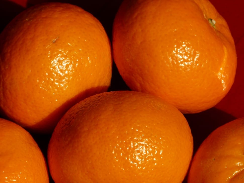 orange tangerine preview
