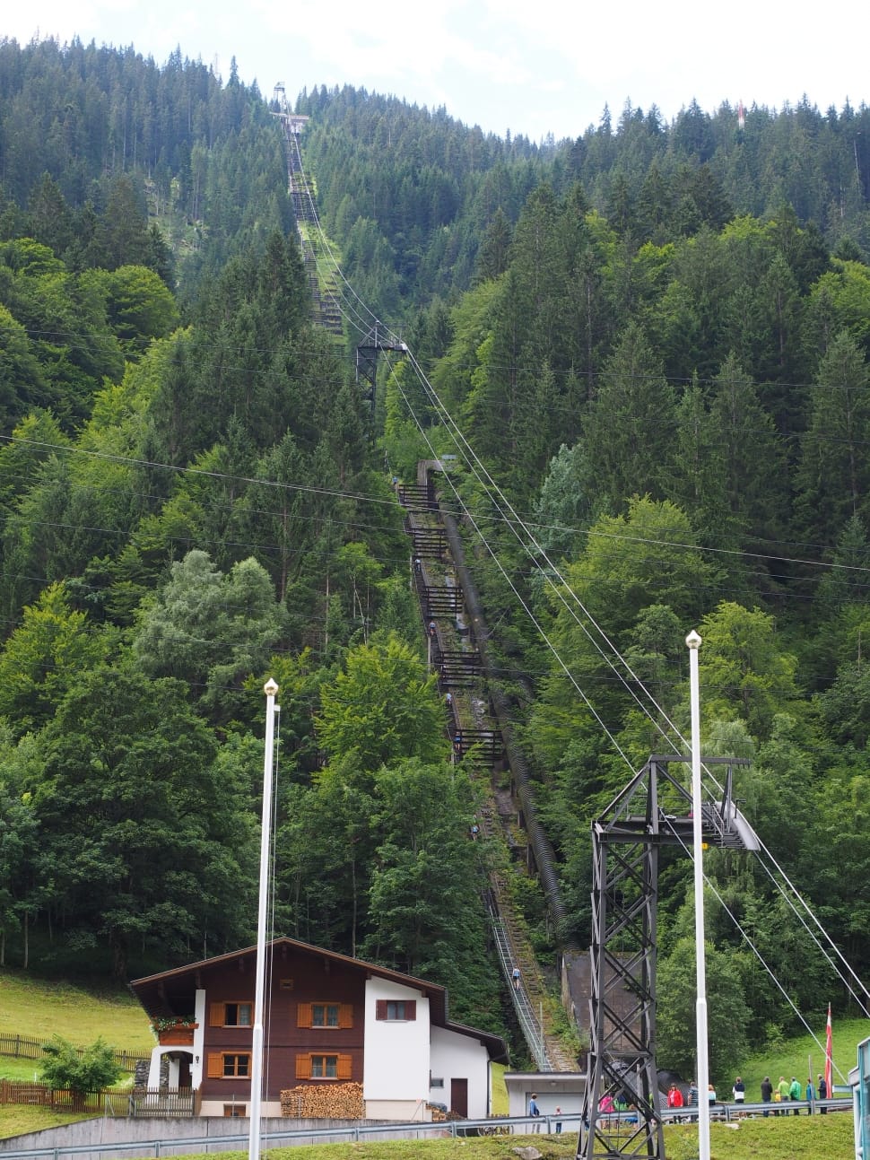green trees and cable car mountain photo preview