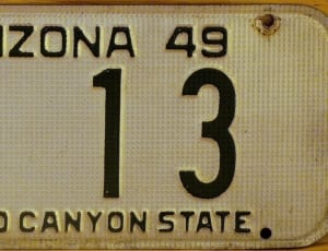 vehicle plate number thumbnail
