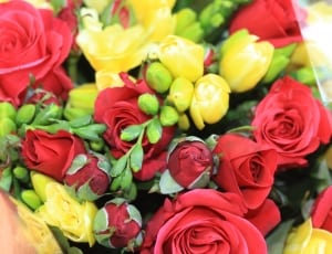red and yellow roses thumbnail