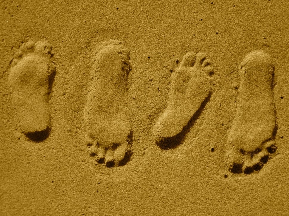 sand foot prints preview