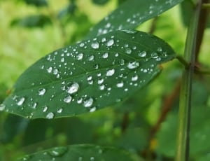 water droplets thumbnail