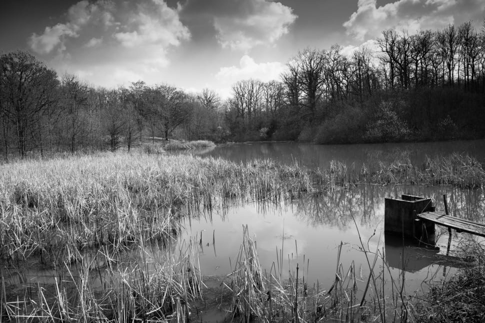 gray scale photo of lake preview