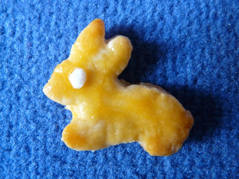 rabbit cookie preview
