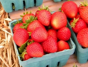 strawberries on gray plastic basket thumbnail