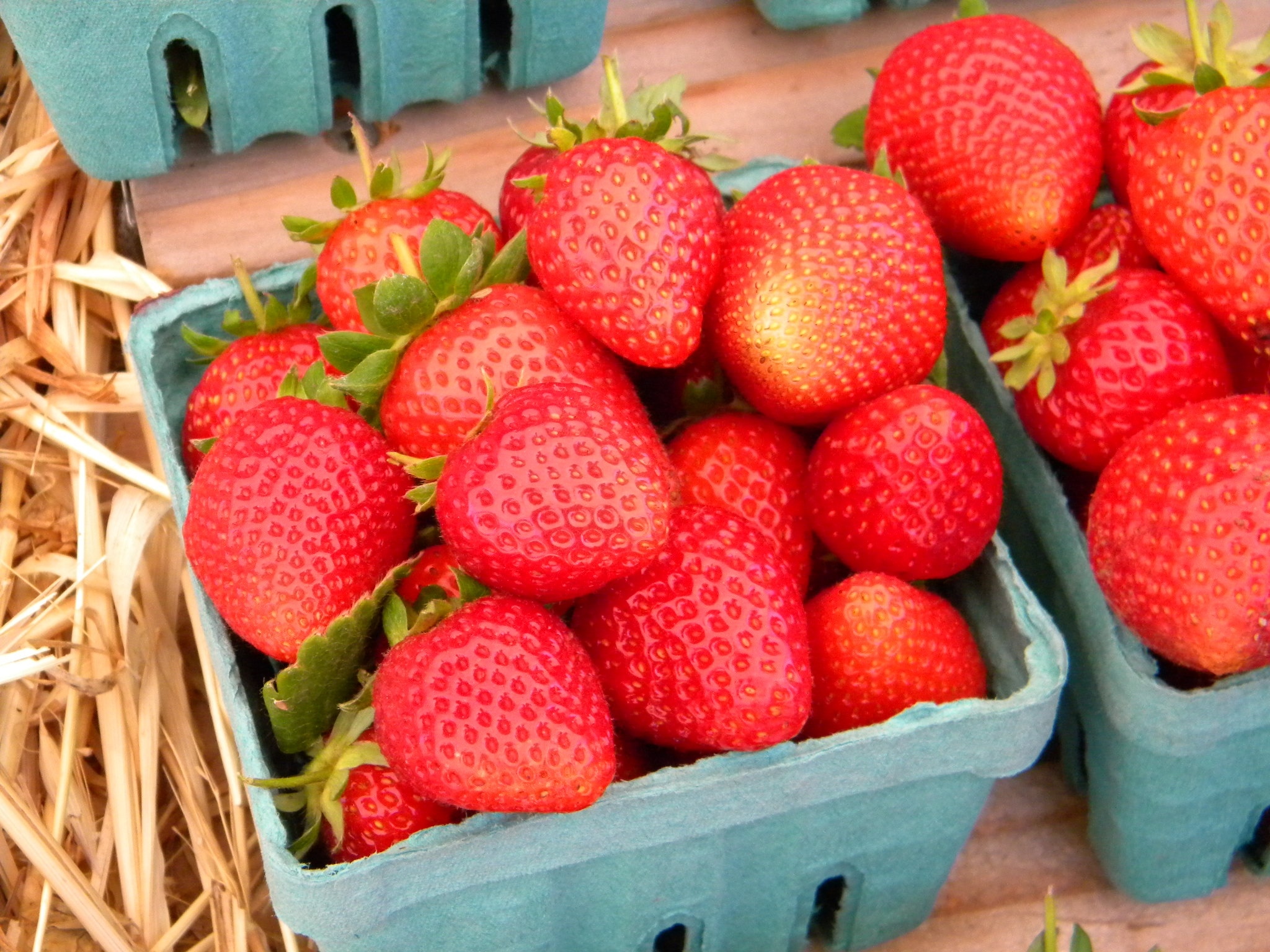 strawberries on gray plastic basket