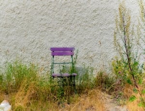 purple chair thumbnail