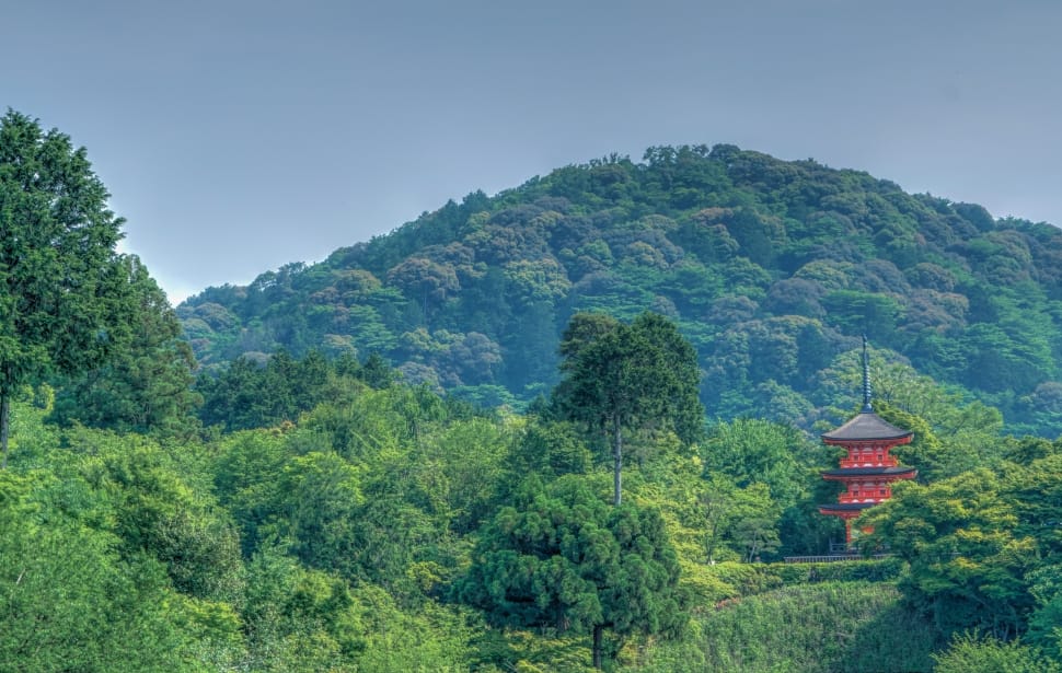 red pagoda surrounded by green trees preview