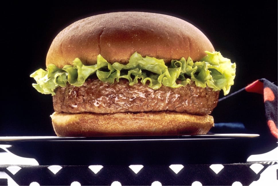 hamburger with lettuce preview