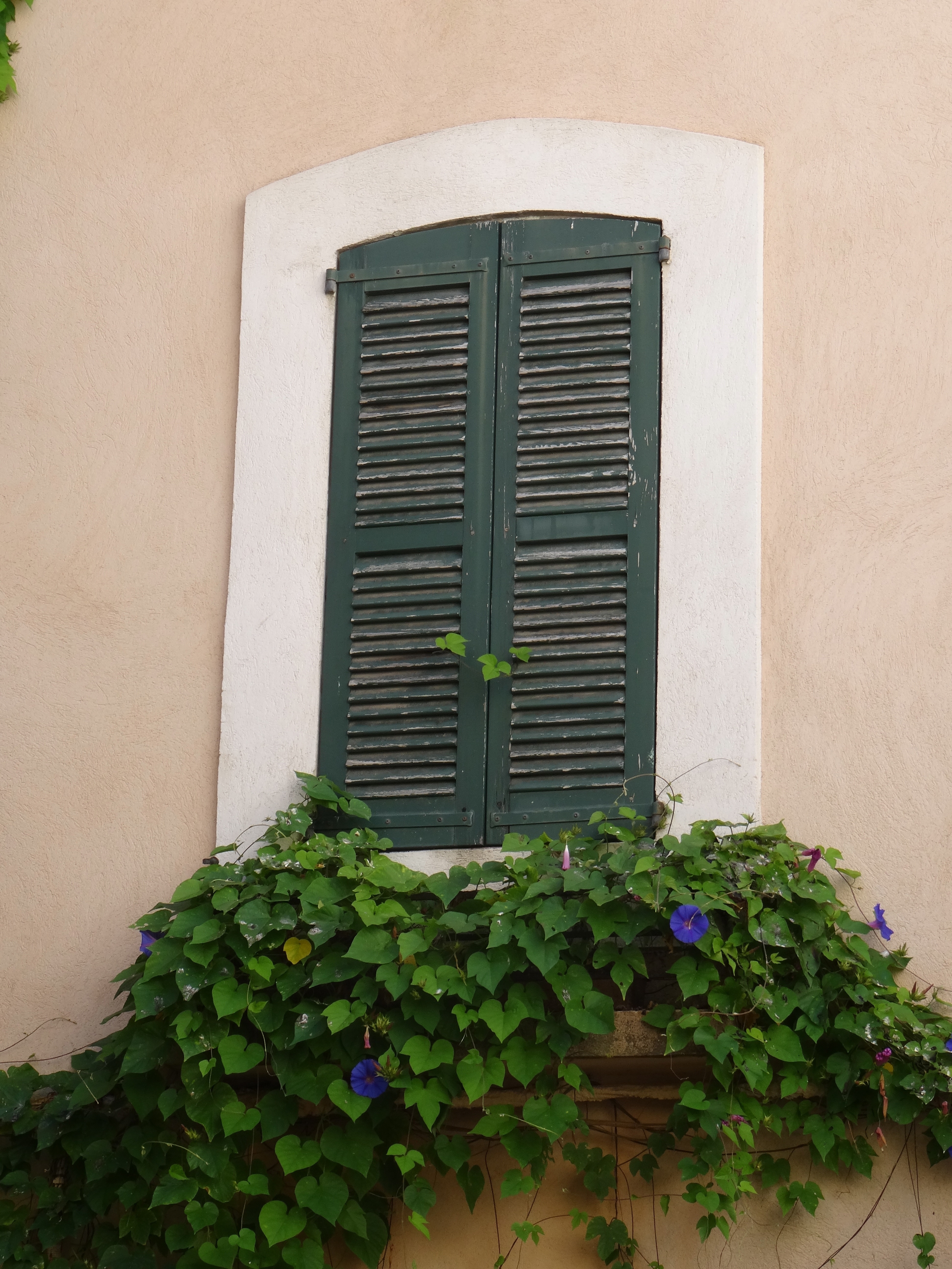 white green wooden window