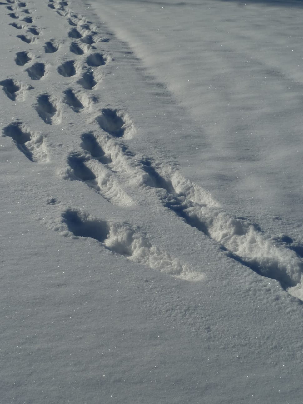 snow foot print preview