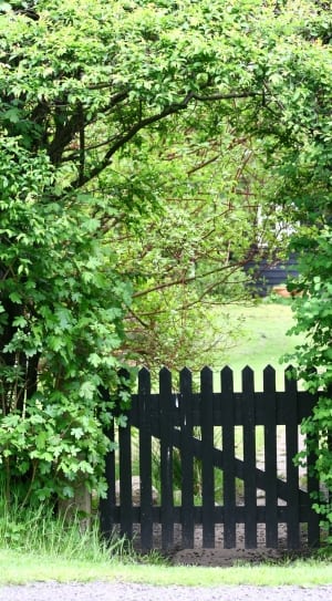 black wooden fence thumbnail